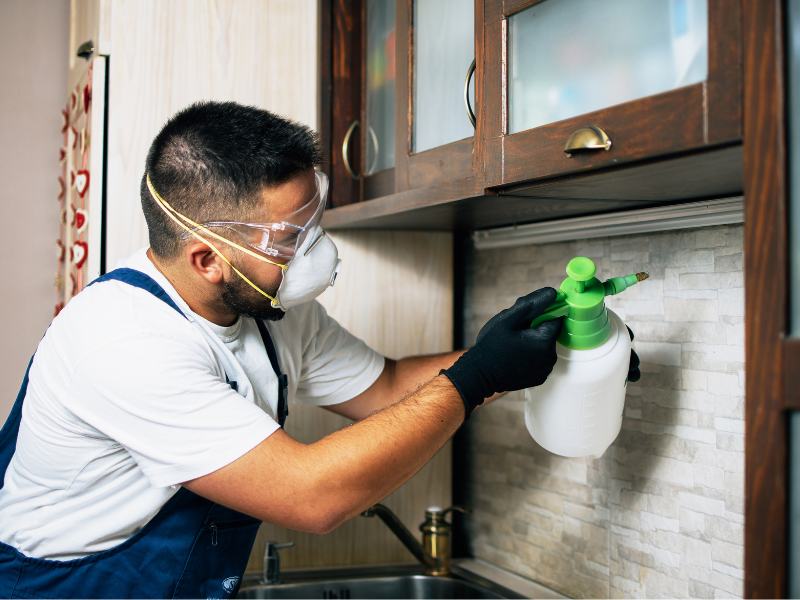 Schädlingsexperten – Unser Team